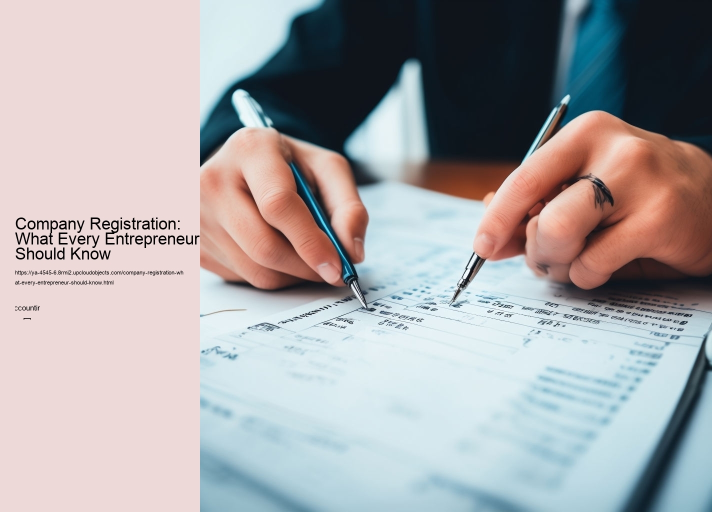 Company Registration: What Every Entrepreneur Should Know